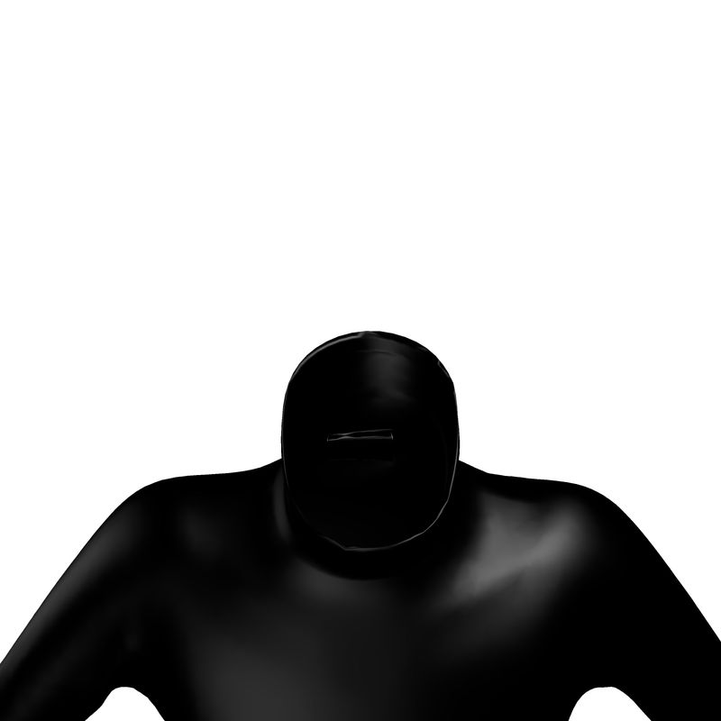 Mens Slim Fit Roll Neck Plain Black