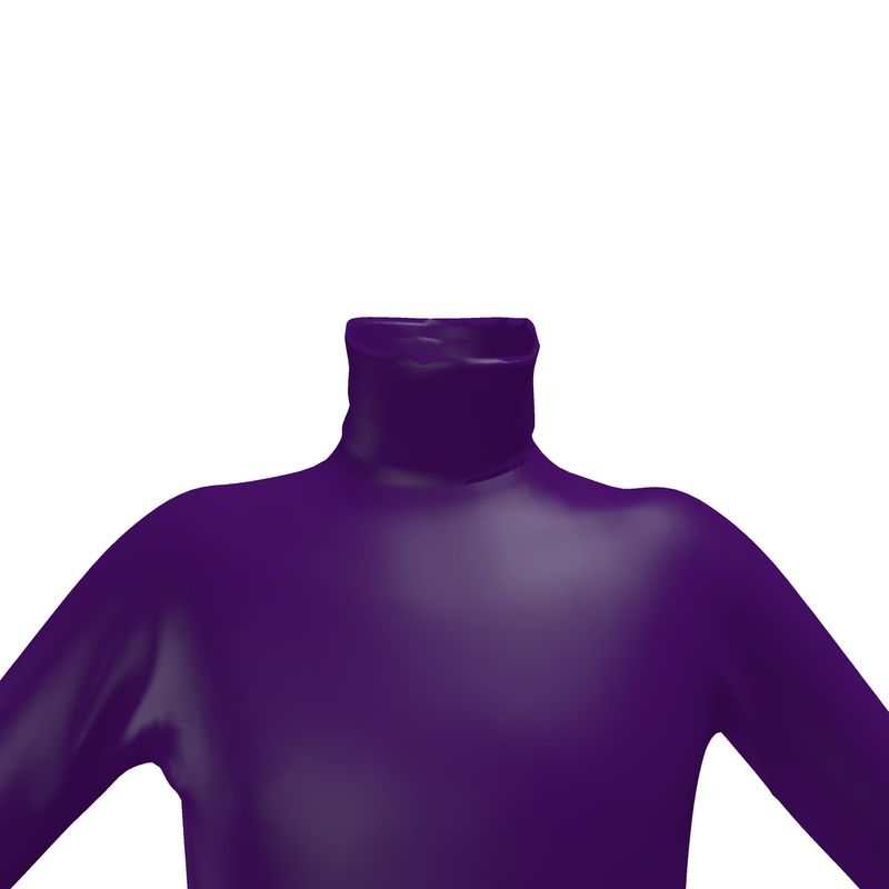 Obsidian shell color, Slim Fit Roll Neck.