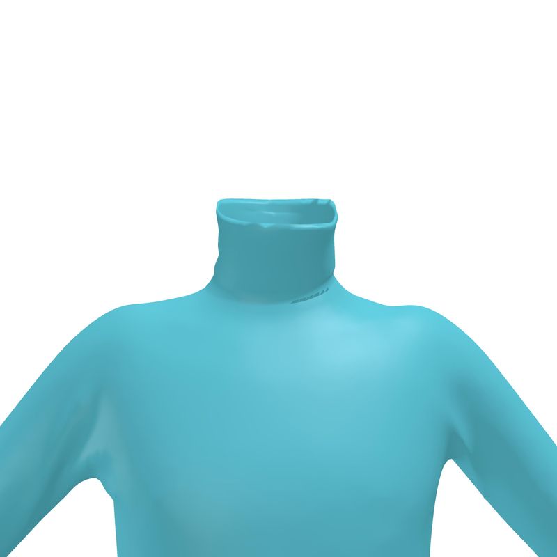 Blue Slim Fit Roll Neck.